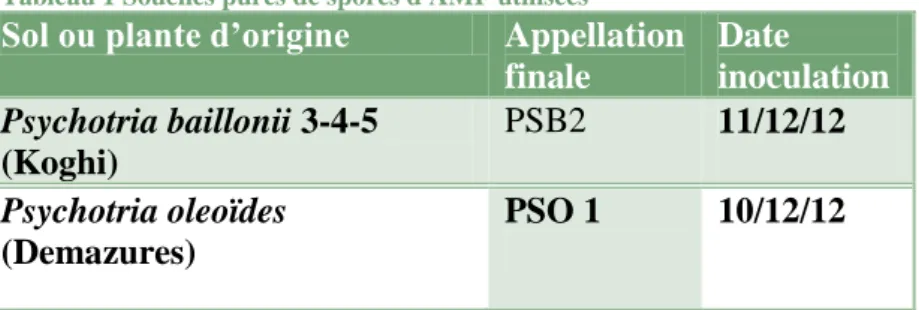 Tableau 1 Souches pures de spores d'AMF utilisées 