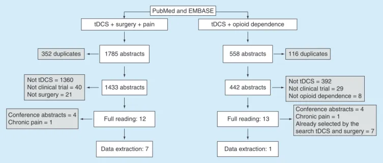 Figure 1. Flowchart showing the selection process of papers. The right side of the flowchart represents the selection process related to the search ‘transcranial direct current stimulation to prevent and treat postoperative pain’ while the left represents 