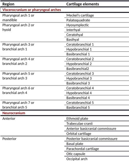 Table   1.  Zebrafish   viscerocranium   and   neurocranium   composition   at   6   dpf  (Nüsslein- (Nüsslein-Volhard and Dahm 2001).