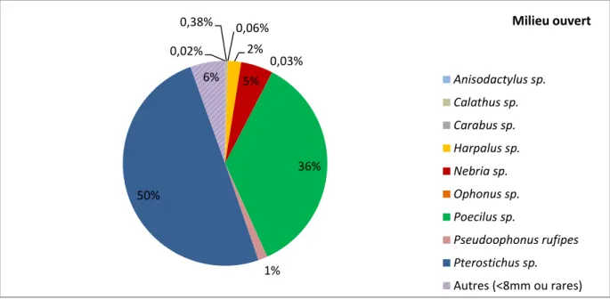 Figure 31 : Répartition des carabes entre les différents genres en milieu ouvert sur les 3 ans 0,0010,0020,0030,0040,0050,0060,0070,002014201520163ansAbondance ouvertfermé0,02% 0,38% 0,06% 2% 5% 0,03% 36% 1% 50% 6%  Milieu ouvert Anisodactylus sp.Calathus 