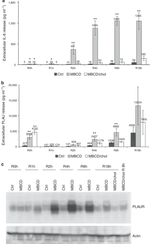 Figure 1. PLAUR expression, and PLAU and IL-8 release after cholesterol depletion. Functional time-course analysis shows that MBCD induces PLAUR protein expression, as well as PLAU and IL-8 protein release