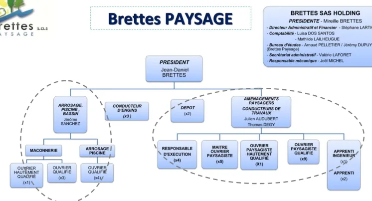 Figure n°3 : Organigramme simplifié de l’entreprise Brettes Paysage  (P. Todesco, 2013)