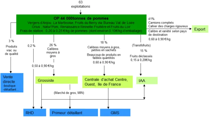 Figure 8 : Schéma de la commercialisation des pommes par les OP de la région Centre en 2011,  auteur : Stéphanie Coffi dit Gleize d’après entretiens OP et bureaux de commercialisation 