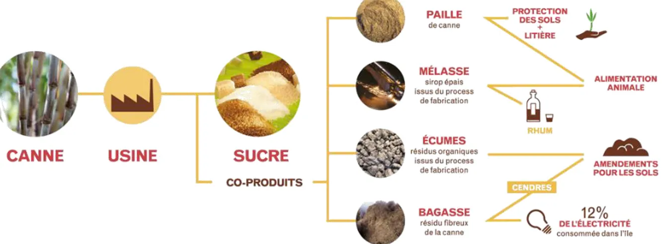 Figure 10 : Valorisation des co-produits du sucre (Syndicat du Sucre de La Réunion s. d.) 