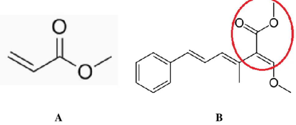 Figure 5 : Représentation du Méthyl Acrylate (A) et de la Strobilurine A (B). La partie cerclée de rouge  représente le groupement semblable dans les deux molécules