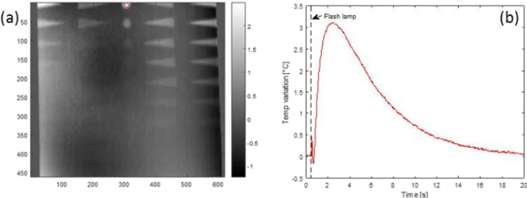 Figure 5. Thermography processing and result. (a) One thermogram of the full temporal sequence after processing; the red  circle indicates the defect location