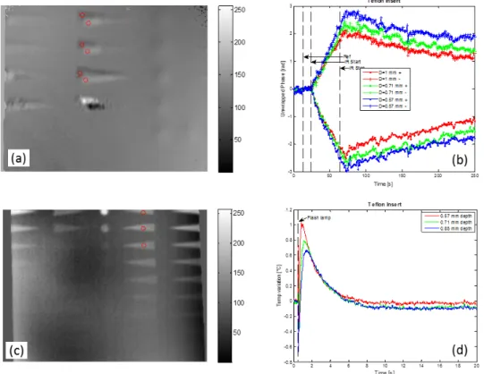Figure 9. Teflon insert defect type comparison. Positions of the defect of interest in shearography (a) and in thermography  (c)