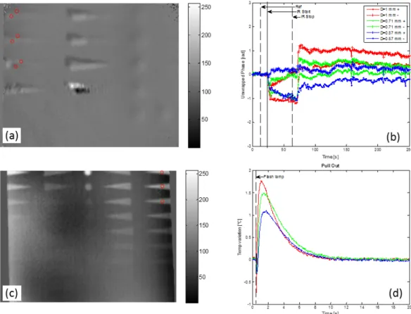 Figure 10. Pull-outs defect type comparison. Positions of the defect of interest in shearography (a) and in thermography (c)