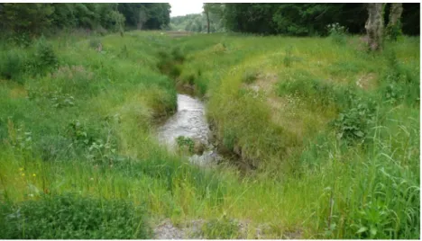 Figure 9 : Site d’étude 4 - Recréation du lit du cours d’eau (Source auteur) 