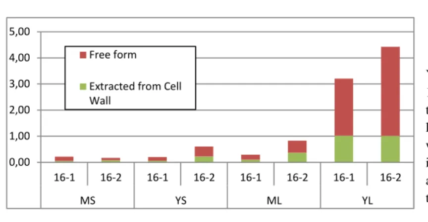 Figure 8: Yields of IL6 recovered from the  cell wall and the other compartments  
