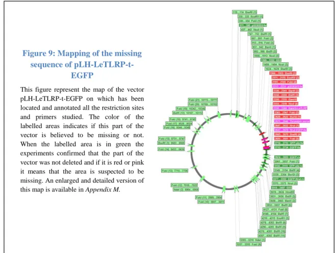 Figure 9: Mapping of the missing  sequence of 