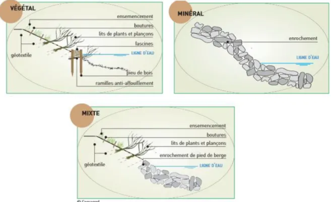 Figure n°1: Les différents types d’aménagement de berge (Cavaillé et al., 2015) 