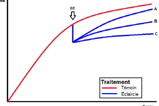Figure 1 Hypothèses de productivité de l’éclaircie commerciale 