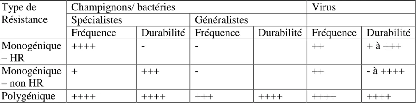 Tableau 1 : Fréquence des types de résistances et leur durabilité moyenne (Parlevliet, 2002)  Fréquence : très basse à absente (-), basse (+), modérément fréquente (++), fréquente (+++), extrêmement 