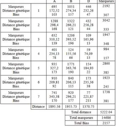 Figure 16 : comparaison de l’ordre des marqueurs entre la carte consensus de AE, PE, TE et LE  (chromosomes de gauche) et la carte consensus de Wang (chromosomes de droite) 