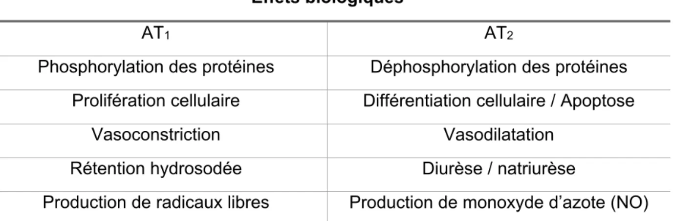 Tableau 4. Comparaison des effets biologiques résultant de l’activation des 2 récepteurs  de l’Ang II  4