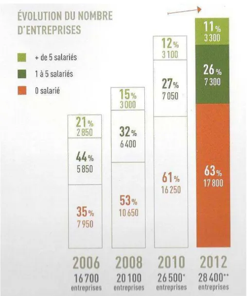 Figure 4 : Evolution du nombre des entreprises du paysage entre 2006 et 2013 et répartition selon le nombre  d'individus