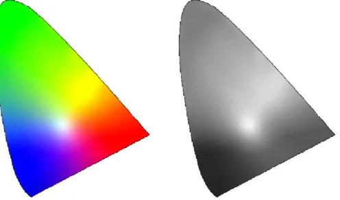 Figure 1.10: Diagramme chromatique xy et luminance maximale en chaque point.