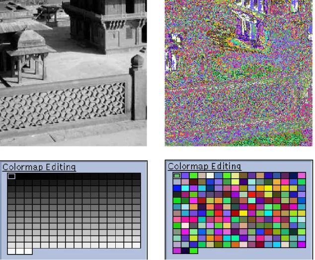 Figure 1.13: Une image en niveaux de gris, l’équivalent avec une palette de couleurs aléatoires et les palettes respectives.