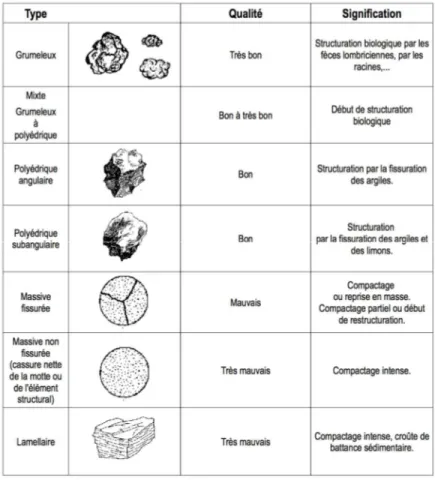 Figure 4 – Typologies de structures (Tételin d’après (Delaunois,  2008)) 