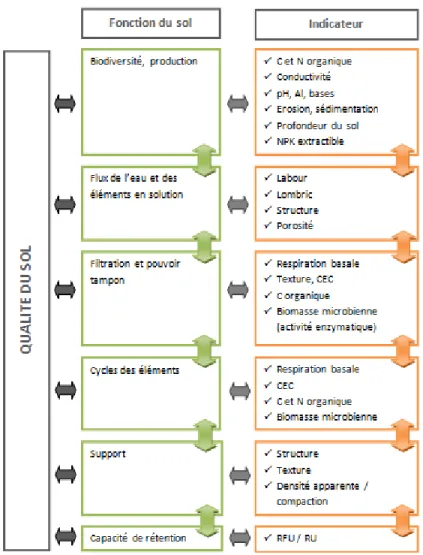 Figure 12 – Principaux indicateurs de qualité d’un sol (Tételin d’après  Gros (2002)) 