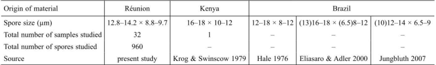 Table 7. Ascospore dimensions of taxa of the H. damaziana complex according to different authors.