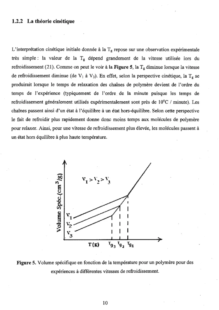 Figure 5. Volume specifique en fonction de la temperature pour un polymere pour des  experiences a differentes vitesses de refroidissement