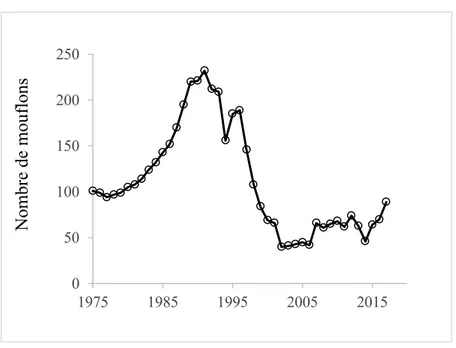 Figure 1.4 Nombre de mouflons dans la population de Ram Mountain entre 1975 et 2017. On  constate le déclin important de la population entre 1992 et 2002