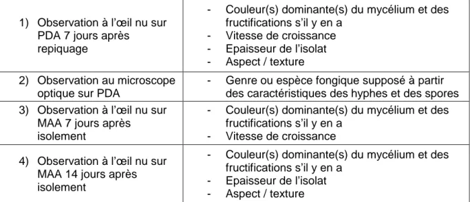 Tableau 3 Liste des critères de description des morphotypes (MAA : malt-acid antibiotic ;  PDA : Potato Dextrose Agar) 