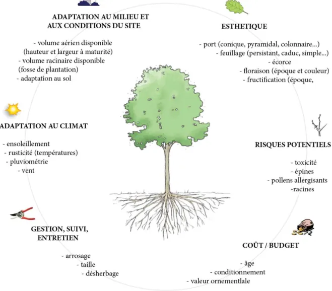 Figure 9 : Critères de choix de l’arbre en milieu urbain (Le Gourriérec, 2012). 