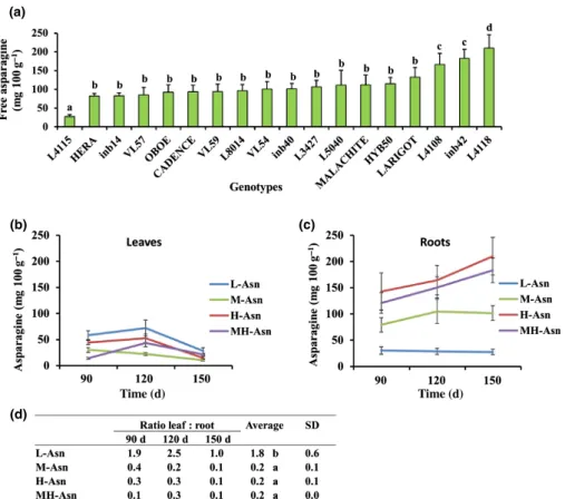 Fig. 1 Diversity of asparagine (Asn) accumulation in the Cichorium intybus germplasm. (a) Free Asn content (milligrams per 100 g DM) in storage roots of selected chicory genotypes 150 d after sowing