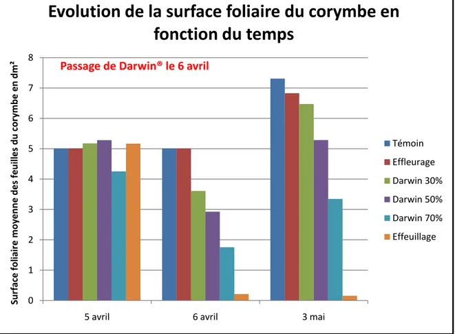 Figure 7 : Histogramme montrant l'évolution de la surface foliaire du corymbe  (mesurée par planimétrie) en fonction du temps (passage de Darwin® le 6 avril) 