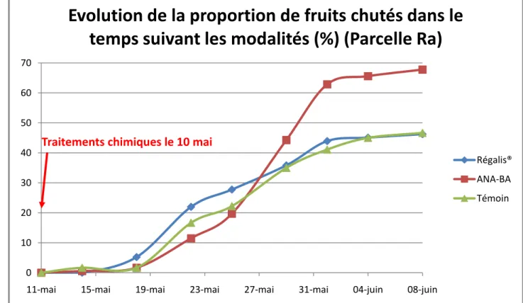 Figure 13 : Graphique montrant la proportion de fruits chutés en fonction du  temps pour la parcelle Ra pour les trois modalités étudiées