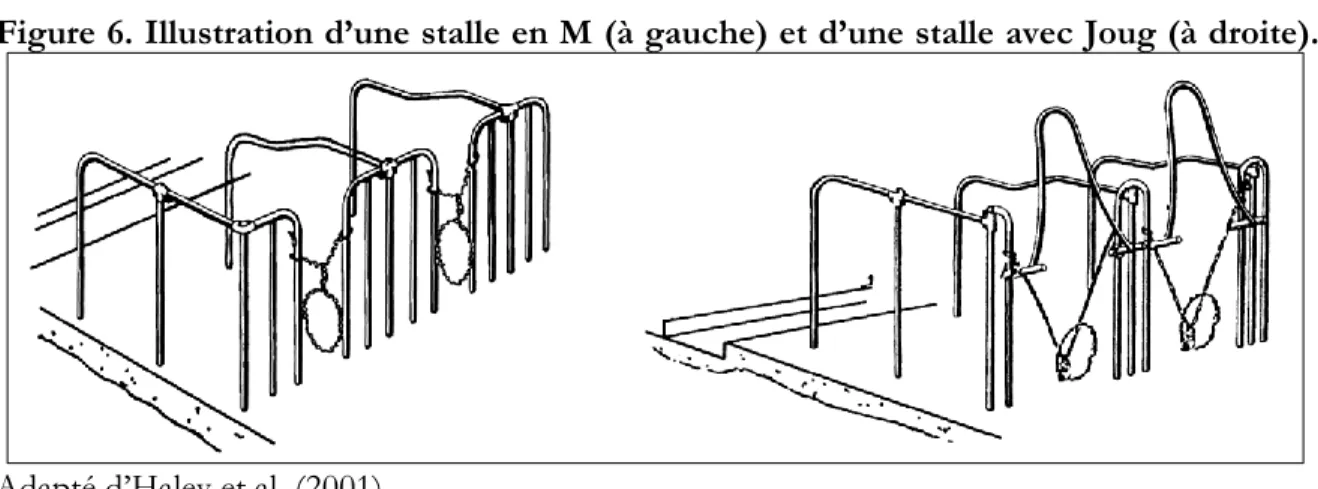 Figure 6. Illustration d’une stalle en M (à gauche) et d’une stalle avec Joug (à droite)