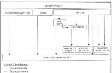 Figure 7 : Organisation du circuit de commercialisation de la banane et des tubercules ( Cirad, 2002) 