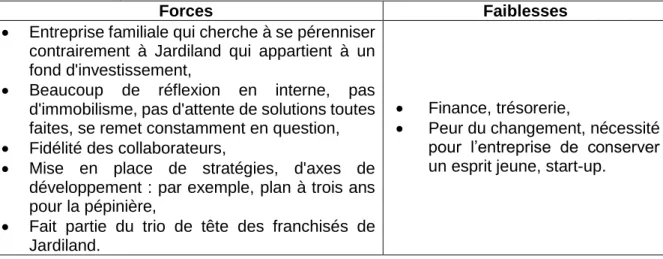 Tableau 1 : Forces et faiblesses de l’entreprise dégagées lors de l’interview de Philippe Poullain sur l’historique du  groupe 