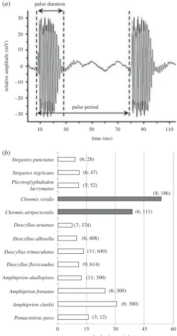 Figure 4. (a) Example of pulsed sounds in Amphiprion akallopisos (modified from [47])