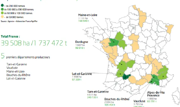 Figure 1 : Répartition de la production française de pommes de table en 2013 (France Agrimer 2014) 