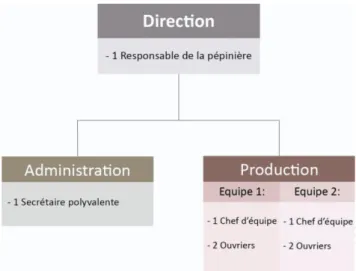 Figure 8 : Organigramme de la pépinière Jacquet en 2015 (Debas, 2015). 