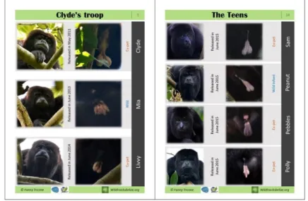 Figure 3: Abstracts from the identification key 