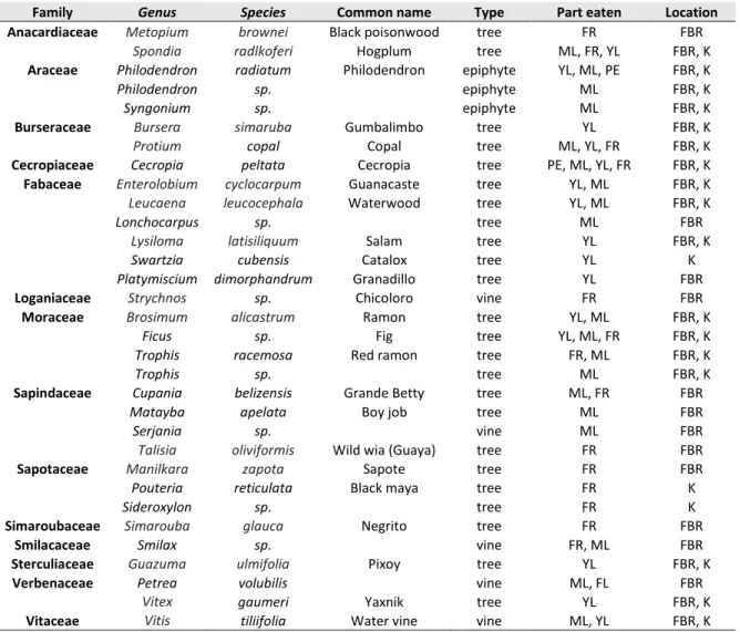 Table 8: List of the feeding plants identified 
