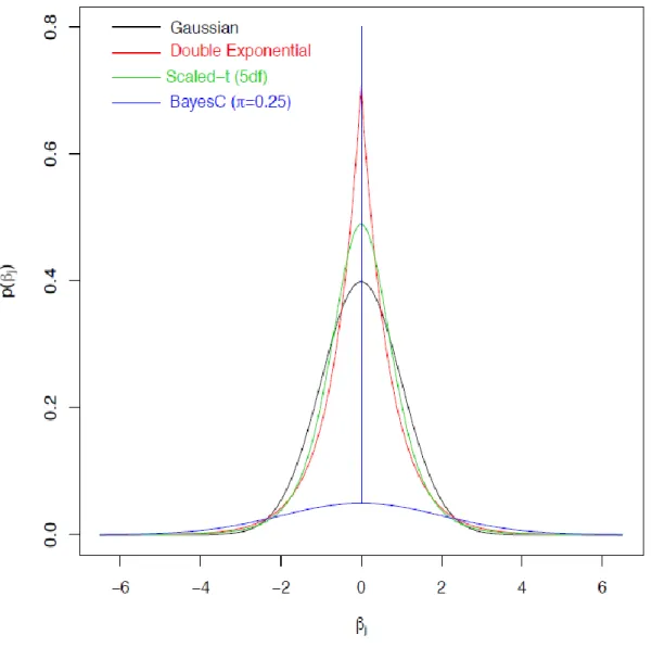 Figure  5  :  Exemple  de  distributions  a  priori  des  effets  aux  marqueurs  (βj)  pour  différentes  méthodes  bayésiennes de sélection génomique (Pérez et al, 2013)
