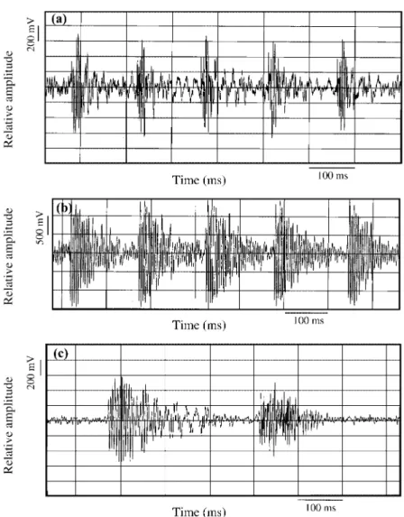 Fig. 1. Temporal characteristics of the sound (time scale: 100 msec) produced by individuals of C