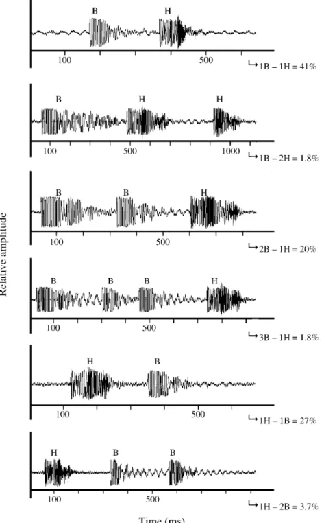 Fig. 4. Oscillograms of the sounds produced during several aggressive interactions between the two Carapini species: