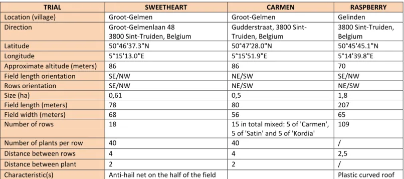 Figure 9: Fields   A: SWEETHEART  B: CARMEN  C: RAPSBERRY A  B  C 