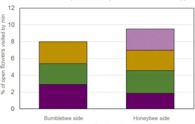 Figure 21: Foraging activity in RASPBERRY depending on the side of the field 