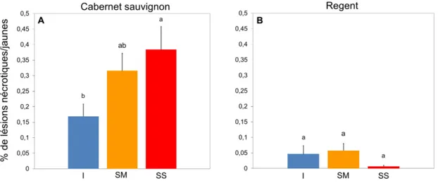 Figure 8 : Effet d’un stress hydrique sur le pourcentage de lésions jaunes et/ou nécrotiques (pouvant présenter ou non  des  lésions  sporulantes)  des  vignes  17  jours  après  l’inoculation  pour  le  cépage  Cabernet  sauvignon  (A)  et Regent  (B)