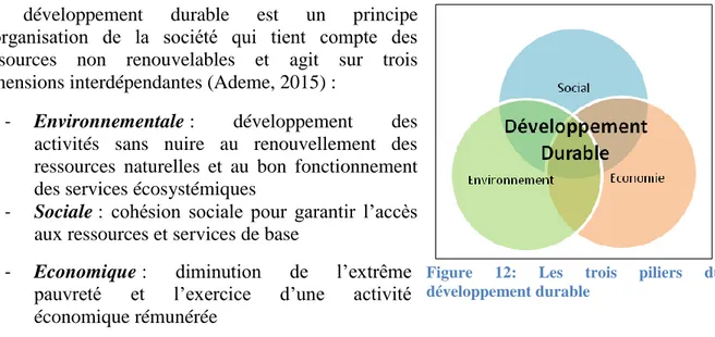 Figure  12:  Les  trois  piliers  du  développement durable 