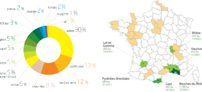 Figure  15:  Zones  de  production  de  salade  en  France 