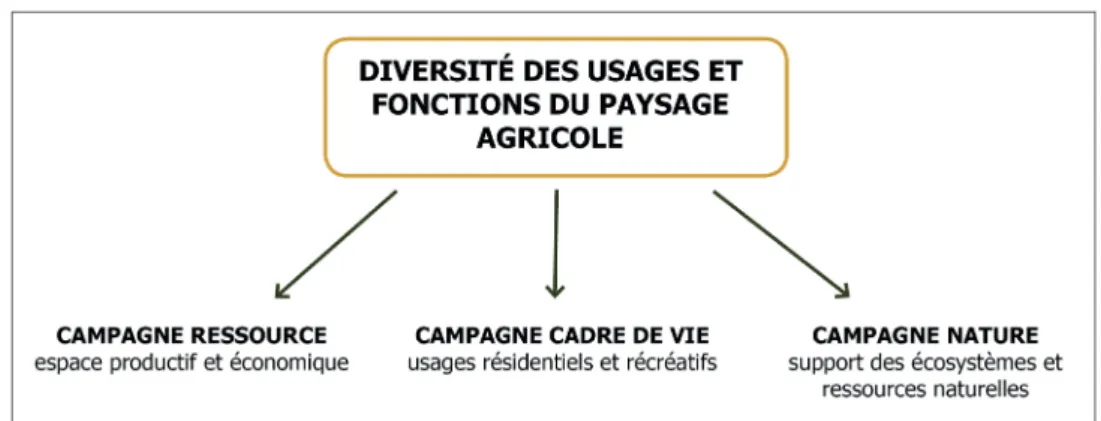Figure 5: Schéma du modèle multifonctionnel de la campagne, (Heard, 2015, d’après  PERRIER-CORNET 2002, «A qui appartient l’espace rural»)